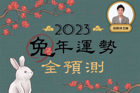 兔 2024 運勢|一文全知道！屬兔之人，2024年運勢全盤解析！